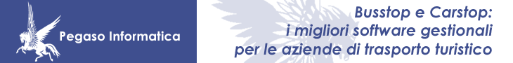 Banner Pegaso